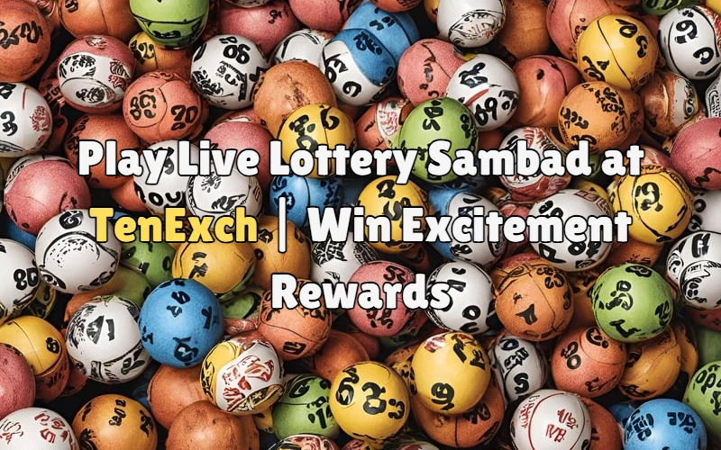 live lottery sambad